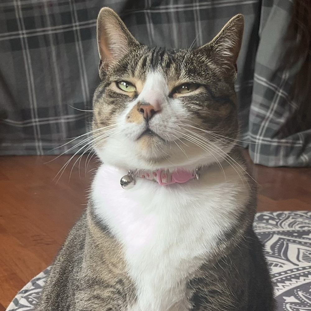 Meet your Posher, Olivia